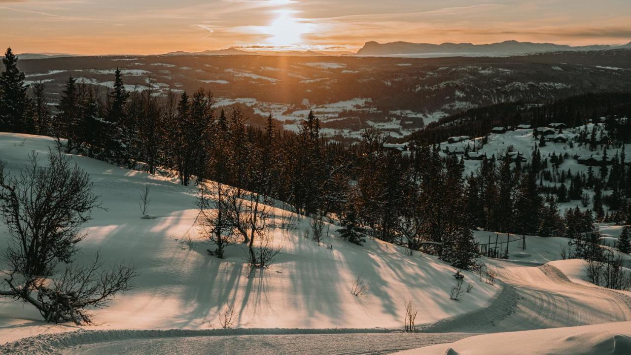 Danebu Kongsgaard - Boutique Hotel Aurdal Luaran gambar